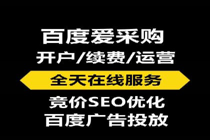 百度竞价广告投放全解析：成功案例揭秘